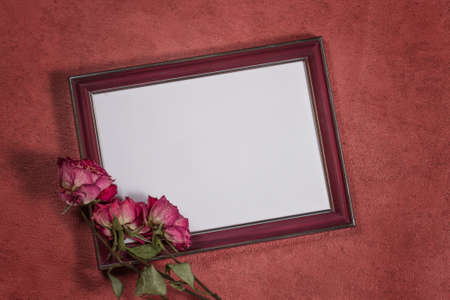 Vintage background with frame for photo and dry rosesの写真素材