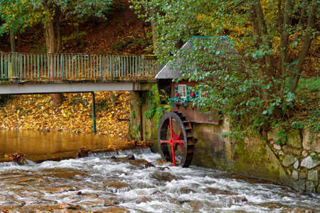 Decorative water mill in the forest  の写真素材