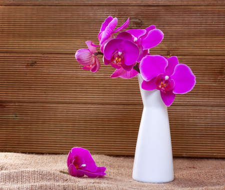 Pink orchid on a rustic background の写真素材