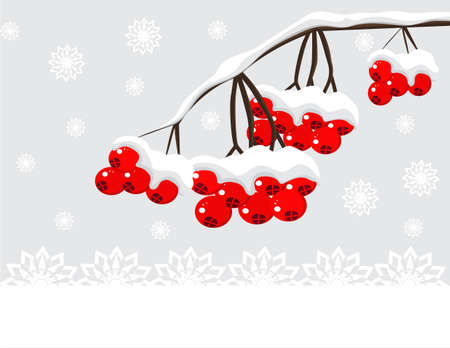 Winter background with red berries and snowのイラスト素材
