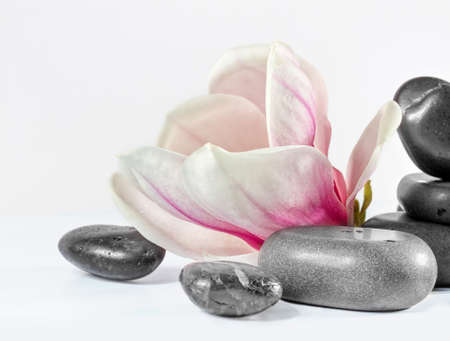 Zen stones with flower magnolia の写真素材
