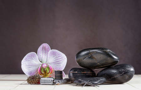 Instruments and accessories for acupuncture 