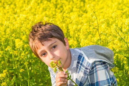 Portrait of a boy on a rapeseed fieldの写真素材