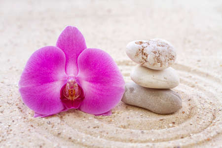 Orchid with zen stones in the sandの写真素材