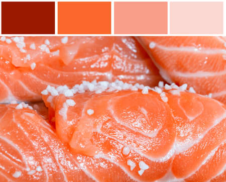 Salmon filet background  with complimentary swatches の写真素材