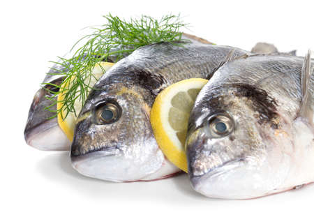 Fresh dorado with lemon on white background