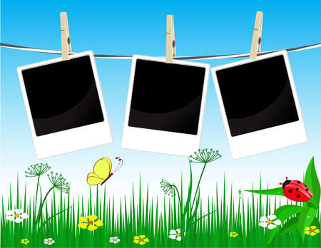 Photo frames on the summer  backgroundのイラスト素材