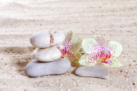 Orchid with zen stones in the sand の写真素材