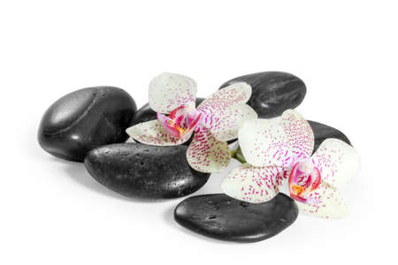 orchid and zen Stones on a white background の写真素材