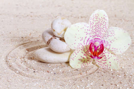 Orchid with zen stones in the sand の写真素材
