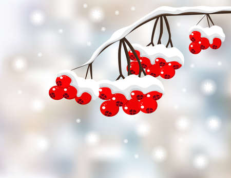 Winter background with red berries and snowのイラスト素材
