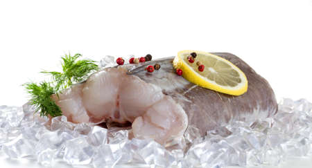Eel fillet. Isolate on white background