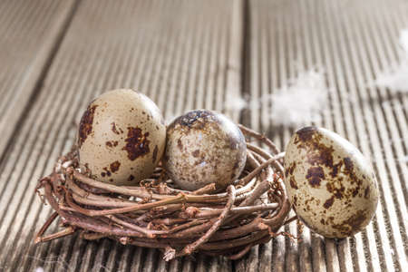 Quail eggs on wooden background closeup.の写真素材