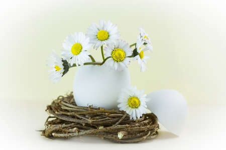 Bouquet of daisies in an eggshell. Shallow depth of field.の写真素材