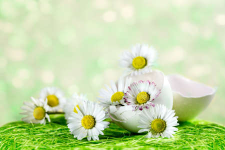 Bouquet of daisies in an eggshell. Shallow depth of field.の写真素材