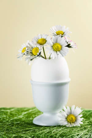Bouquet of daisies in an eggshell. Shallow depth of field.の写真素材