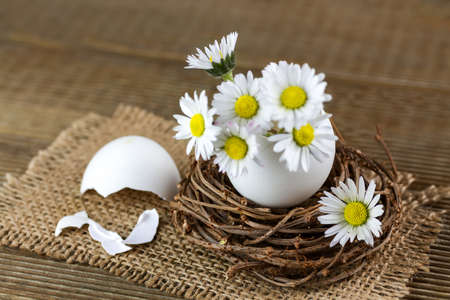 Bouquet of daisies in an eggshell. Shallow depth of field.の写真素材