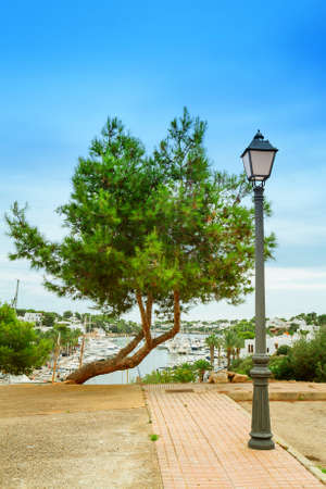 Lonely pine on the background of the port Cala D'Or , Mallorca, Balearic islands, Spain.の写真素材