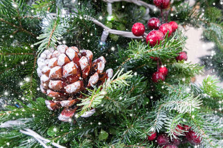 christmas tree branch decoration with red berriesの写真素材