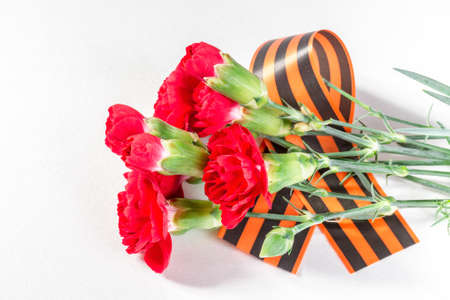 Red Carnation with ribbon St. Georgeの写真素材