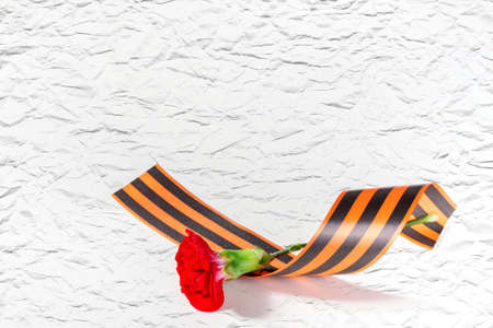 Red Carnation with ribbon St. Georgeの写真素材