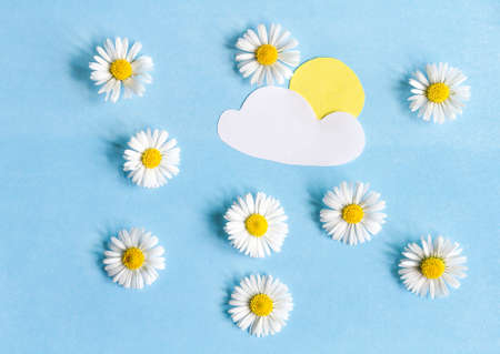 Composition of daisies and paper applications of clouds and sunの写真素材