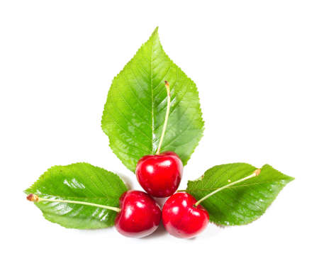 Composition of three ripe cherries and leaves on a white background. Top view.の写真素材