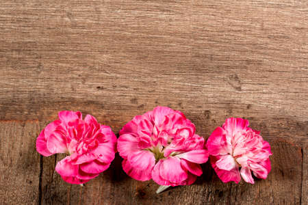 Three Red Carnations in a Row on a Wooden Backgroundの写真素材
