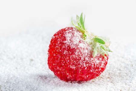 Ripe strawberry in sugar closeupの写真素材