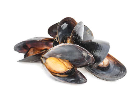 Boiled mussel isolated on whiteの写真素材