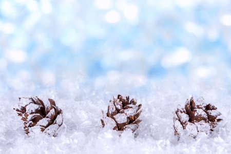 Christmas background with snow and cones