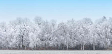 Panoramic image of the winter landscapeの写真素材