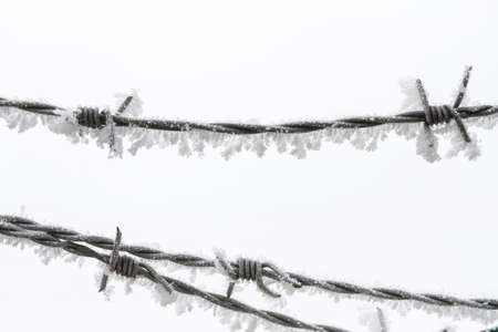 Barbed wire fence detail with snow