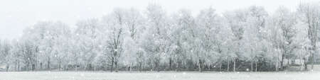 Panoramic image of the winter landscapeの写真素材