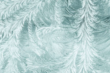 Frosty patterns on the window.の写真素材