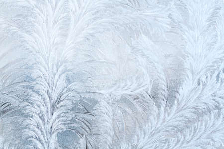 Frosty patterns on the window.の写真素材