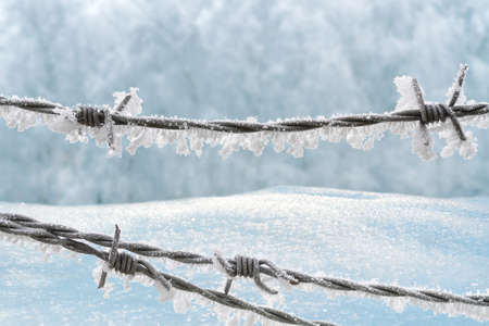 Barbed wire on the winter background with snowdriftsの写真素材