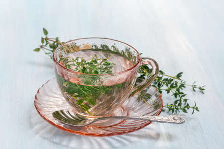 Herbal tea from fresh thyme leavesの写真素材