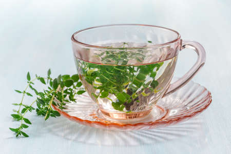 Herbal tea from fresh thyme leavesの写真素材