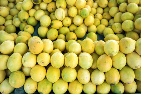 Food background with ripe lemonsの写真素材