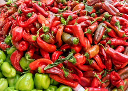 Different types of pepper on the counter.の写真素材