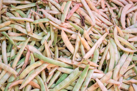 Food background with string beansの写真素材