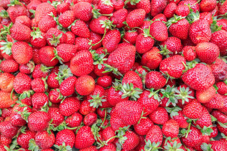 Food background with ripe strawberriesの写真素材
