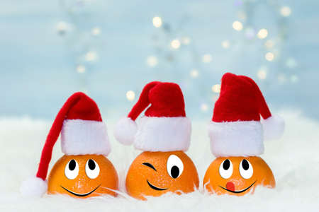 Christmas background with tangerines in Santa Claus hat. Funny characters from the original idea of the concept.の写真素材