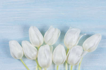 White tulips on a wooden table. Top view.の写真素材
