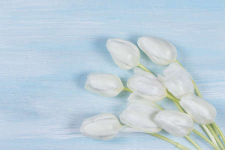 White tulips on a wooden table. Top view.の写真素材