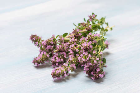 A bunch of flowering oregano on a wooden tableの写真素材