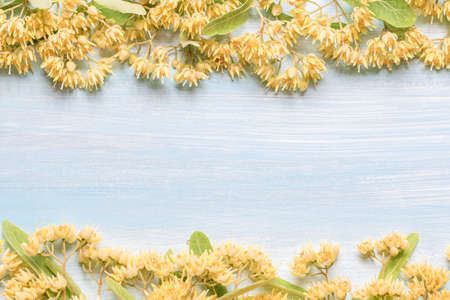 Background with linden flowers on a wooden table and a place for textの写真素材