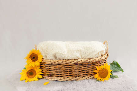 basket for baby decorated with sunflowerの写真素材
