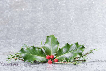 Christmas card with holly leaves and berriesの写真素材